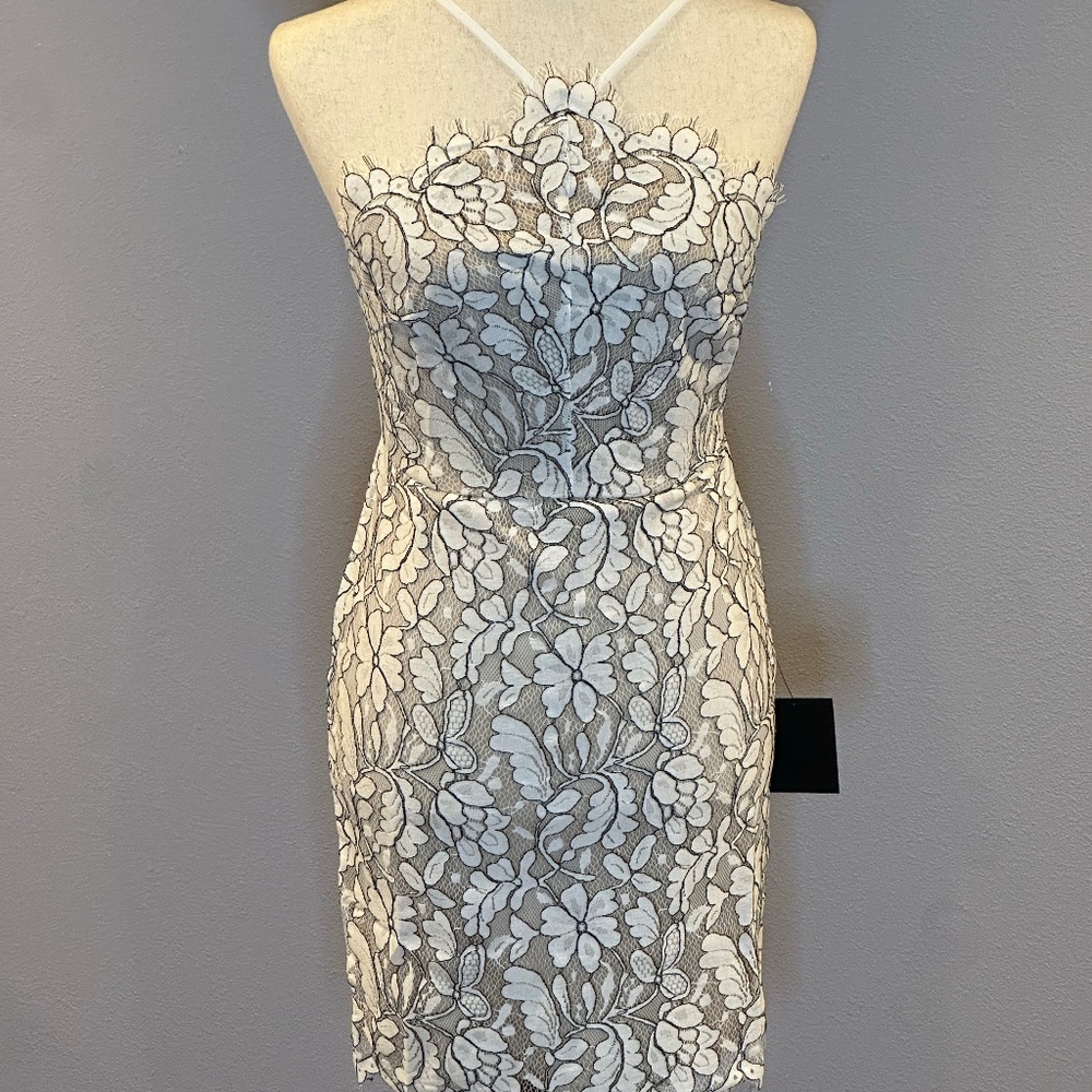 Lulus Delicate Darling beige and ivory lace bodycon Dress Size Small NWT
